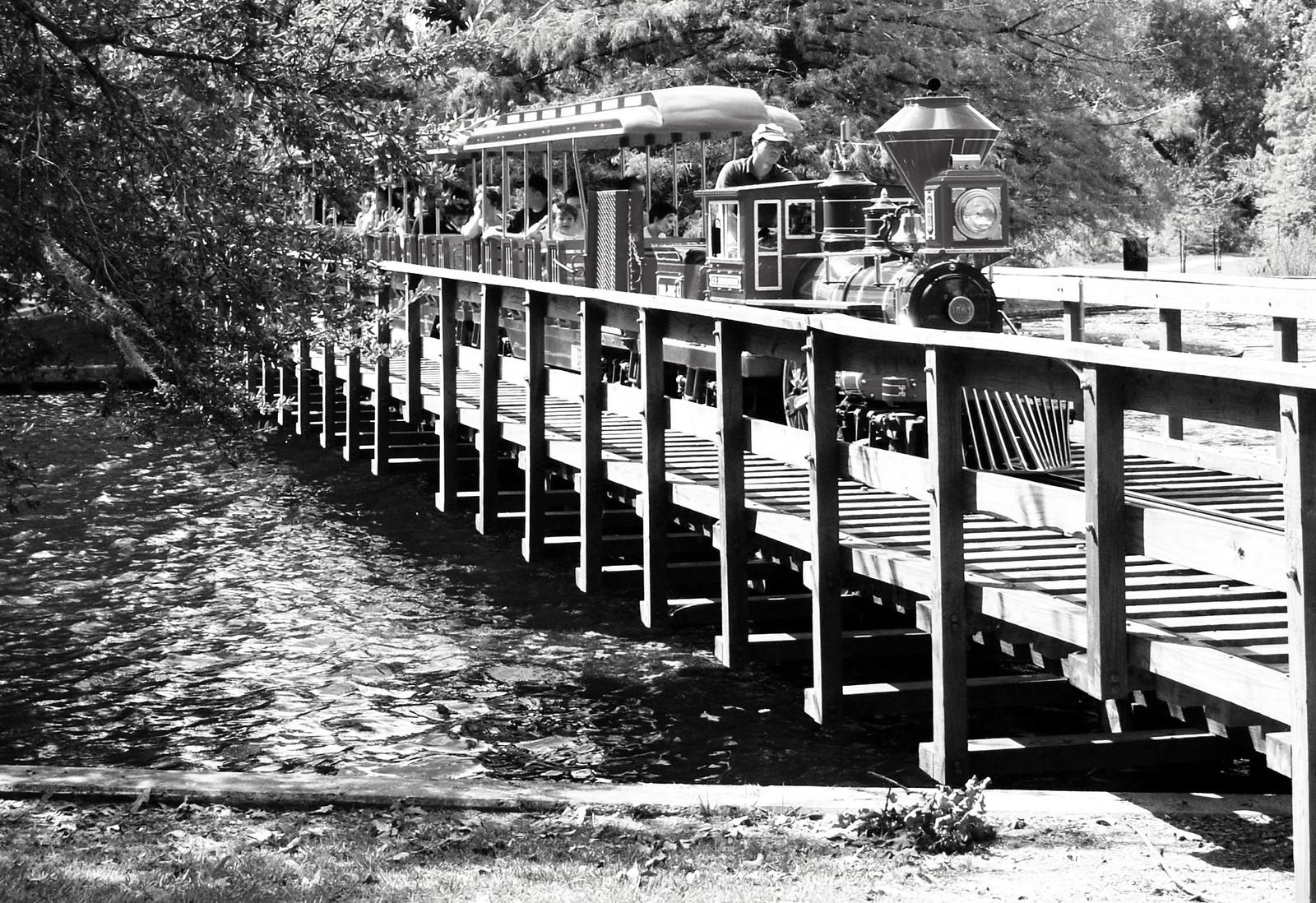 Japanese Garden, Hermann Park, Houston, bridge in 2012